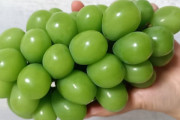 中国でシャインマスカットの値段が急落、その背景は？―中国メディア