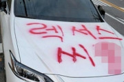 【韓国】違法駐車のレクサスに赤のスプレーで『レクサス××』･･･ネチズン「器物破損だ」vs「スカッとした」