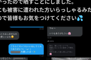 【悲報】バチャ豚さん、突然女に「赤ちゃん作りたい」とDMしてしまう