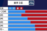 少数派の若者が選挙いっても変わらない…なんてことはなくて、若年層が支持した38歳の候補が79歳の超大物を凌いで当選