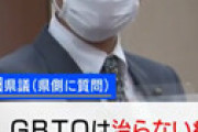 立憲・山田七穂議員 「LGBTQ、病気と言ったら悪いが普通に戻せないのか」 ← 立憲なのにうっかり言ってしまい炎上