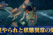 【質問】モンハンライズでモンスごとの属性について聞きたい