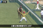 【競馬】[画像] 放馬したモズダディー止めようとするデムーロが完全に武田鉄矢ｗｗｗｗｗｗｗｗｗｗｗｗｗｗｗｗｗｗ