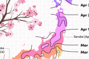 海外「なんで東京や福岡は開花が早いんだろう？」2023年の桜開花予想に対する海外の反応