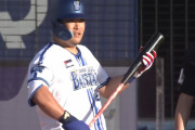 筒香嘉智(32) .185(27-5) 2本 5打点 出塁率.290 長打率.519 OPS.809