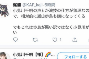【悲報】声優・小見川千明さん、アンチコメにいいねするｗｗｗｗｗｗｗ
