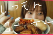 すごい！！ 本田翼ちゃんの1日を表した円グラフがこちらｗｗｗｗ