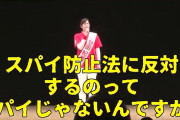 【動画】自民･小野田紀美「スパイ防止法に反対するのってスパイじゃないんですか？」