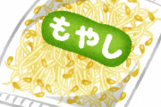 一人暮らしエアプ「ククク…もやしはコスパ・栄養・ボリューム…そして保存に優れる完全食ｗｗｗ」 ←これｗｗｗｗｗ