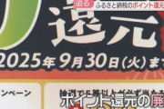 【緊急】ふるさと納税まだやってない奴ｗｗｗｗｗ