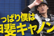 「甲斐キャノン」「梅ちゃんバズーカ」←こういうのって12球団ないの？？