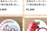【朗報】参政党支持者の精神科医さん、マコモパウダーを販売する