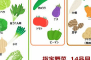 指定野菜の中に一つ場違いなやつがいるんだが😅