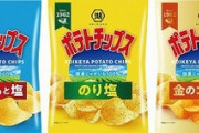 湖池屋「ポテチのうすしお味とリッチコンソメ味って名前ダセえな。改名するわ」