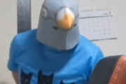 鳥マスクを被り野生のハトを捕獲、SNSに虐待動画を投稿しハサミで◯した49歳男が逮捕「飼いならして手乗りのハトを飼育してみたかった」