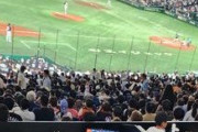 【画像】東京ドームのソファー席、めっちゃ快適ｗｗｗｗｗｗｗｗｗｗｗｗ