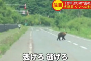 「秋になり出没がピタッと止まった」ヒグマにとって10年ぶり山の異変