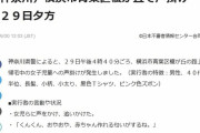 「くんくん、おやおや、赤ちゃん作れる匂いがするね」 下校中の女児に声掛け事案
