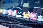 車のフロントガラスの所にめっちょ人形びっしり敷き詰めてる人いるでしょ