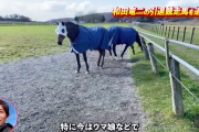 【ウマ娘】和田竜二さんのチャンネルにナイスネイチャが登場