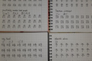 外国人「日本語の勉強してて漢字の書き取りをしてるので見てくれ」