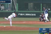 【ファーム試合結果】ヤクルト１ー３西武　高橋6回1失点、寺島1回2失点で負け投手に