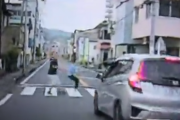 【動画】追い越し禁止箇所で追い越し、横断歩道を横断しようとしていた歩行者を轢きそうになり急ブレーキ。
