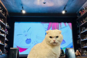 【画像あり】 矢吹健太朗のアニメ視聴専用の部屋が凄いｗｗｗｗｗｗｗｗ