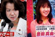【あの人は今】「このハゲ―ッ！」の豊田真由子さん、話が分かりやすい件・・・・