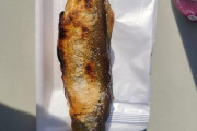 外国人「日本で食べた謎の焼き魚が美味しかったんだが何て言うの？」