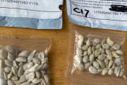 中国からアメリカへ謎の「種子」が送られてくる事件が続発中　農務省「絶対に庭に植えるな」