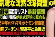 【悲報】山川穂高さん、軟式野球に転向へｗｗｗｗｗｗｗｗｗｗｗｗ