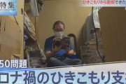 親が金持ちでもないのに40代以上でニートやってる奴がたくさんいるという日本、終わってるよな？?