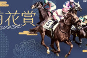 第85回 菊花賞(GⅠ)