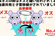 【中国】メスのマウスに縫い付けられ子宮を移植されたオスのマウスが出産することに成功！