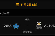 プロ野球「雨天中止です」ワイ「じゃあ天候に左右されないように全球場ドームにすれば良くね」