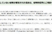 【恐怖】中国から謎の種が届いたら・・・農水省「植物防疫所にご相談を」