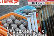 広陵高校野球部の暴力事件、警察が3年生2人を書類送検へ