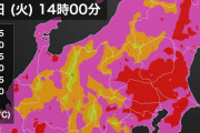 暑い #緊急 |  コロナで40℃  |  仙台31℃  |  オレのムスコがグッタリしている