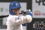 日ハム清宮幸太郎（痩）の今季成績