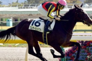 【競馬予想】第57回デイリー杯クイーンカップ(GⅢ) /2022