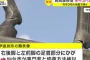 3月の地震で傾いた伊達政宗の騎馬像、修復費用は5000万円かかる見込みに　仙台市