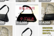 田中真美子さん愛用のバッグ、メルカリで転売されまくってしまう
