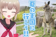【Vtuber】名取と行くなすど！ひつじさんワラワラで草