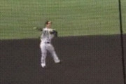 【GIF】阪神中野の守備ｗｗｗｗｗｗｗｗｗｗｗｗｗｗｗｗｗｗｗｗｗｗｗｗｗｗｗ