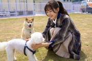 可愛さの渋滞！！！ 犬と戯れる柴田柚菜ちゃんがかわええ！！！【乃木坂46】