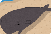 お前らクジラって食ったことある？普通にスーパーに売ってるんだけど
