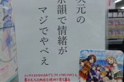 【朗報】名古屋のビックカメラ店員、異次元フェスに行っておかしくなってしまう