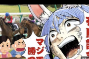 【悲報】人気Vtuber「競馬で１００万負けたペコ」👉赤スパの嵐にｗｗｗｗ