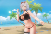 【画像】アズールレーン、3D機能と全くどうでもいいミニゲームを追加実装してしまう…【ゲーム】